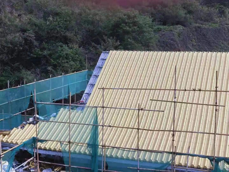 項目案例